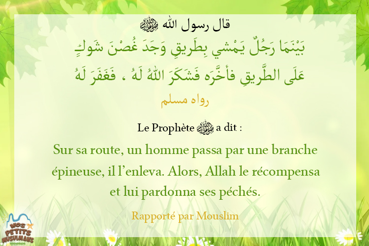 Hadith un homme passa sur sa route par une branche épineuse 