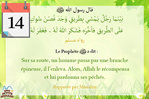 Hadith un homme passa sur sa route par une branche épineuse