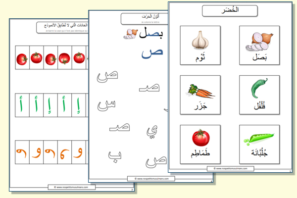 leçon 9 J'aime apprendre l'arabe niveau 1