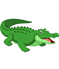 crocodile en arabe
