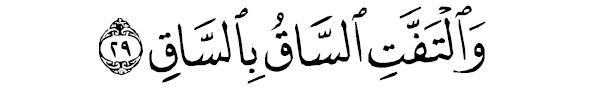 sourate al qyêmah