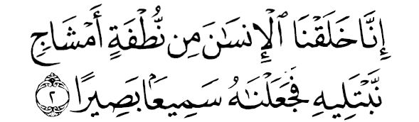 sourate al insên