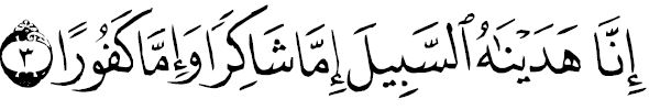 sourate al insên