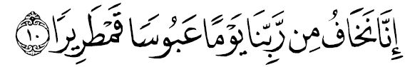 sourate al insên