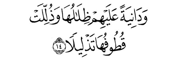 sourate al insên