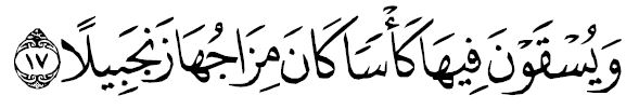 sourate al insên