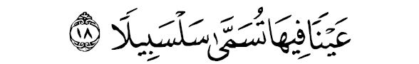 sourate al insên