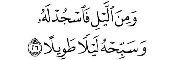 sourate al insên