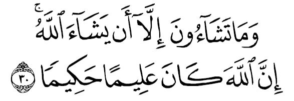 sourate al insên