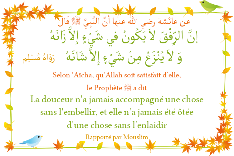 Hadith La douceur n'a jamais accompagné une chose sans l'embellir