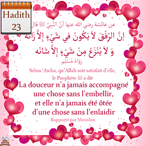 Hadith La douceur n'a jamais accompagné une chose sans l'embellir