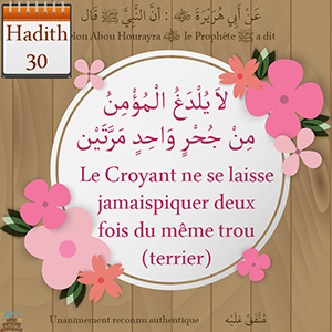 Hadith Le Croyant ne se laisse jamais piquer deux fois du même trou (terrier)