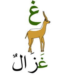 ghazeloun gazelle en arabe