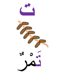 tamroun dattes en arabe