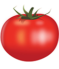 tomate en arabe